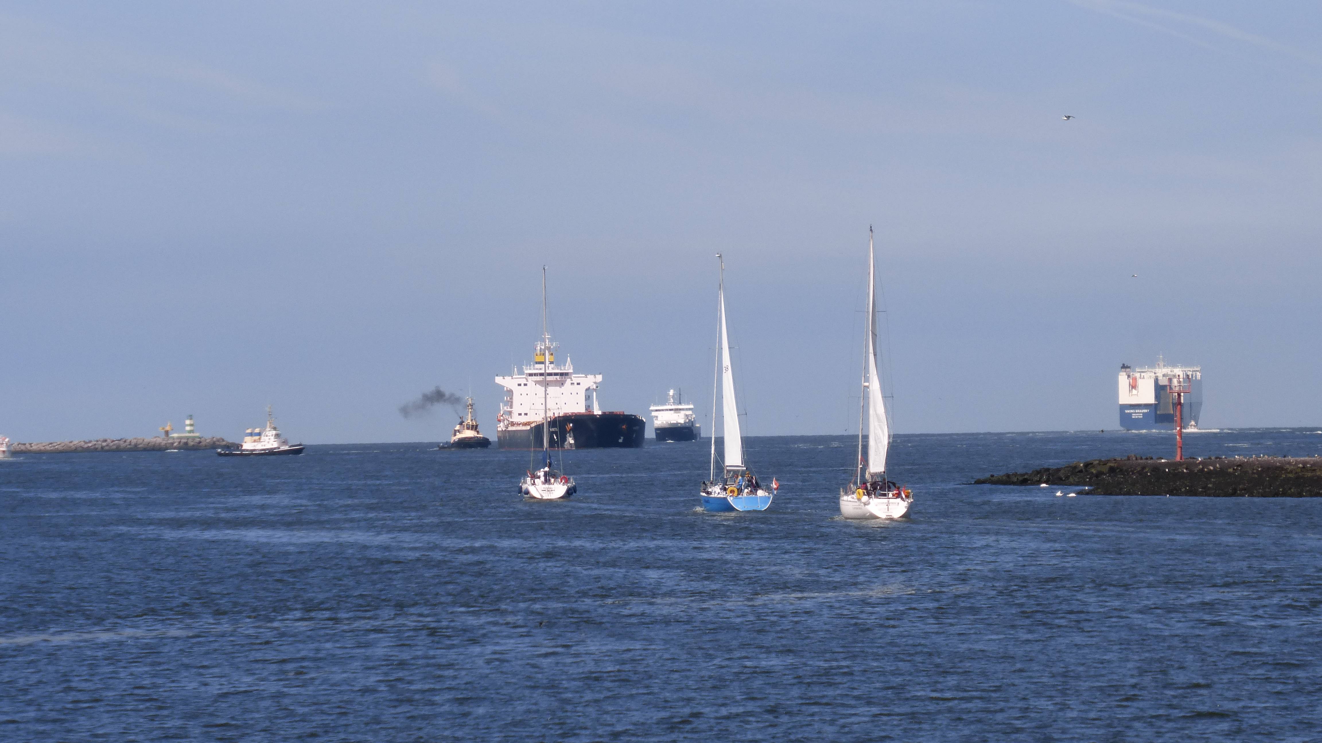 Pieren IJmuiden 18.07.16.2 